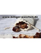 Indische Waschnüsse